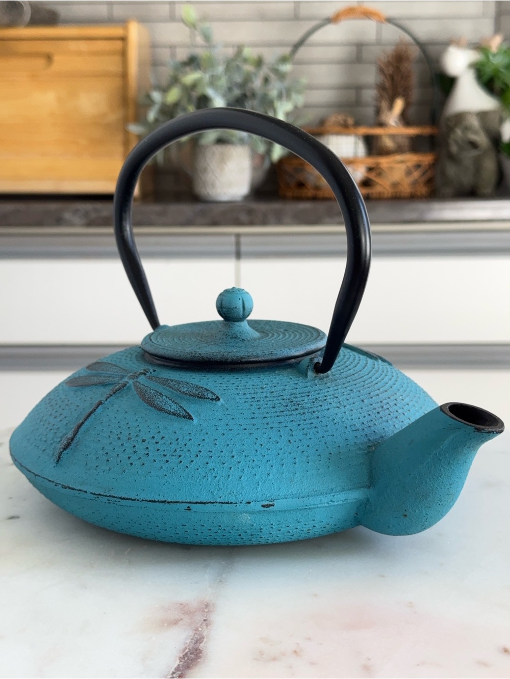 Turquoise Cast Iron Dragonfly Teapot Tea Kettle